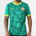 thumbnail image 3 of Jersey Playera Puma de la Seleccion de Senegal Para Hombre Talla Grande (L), 3 of 4