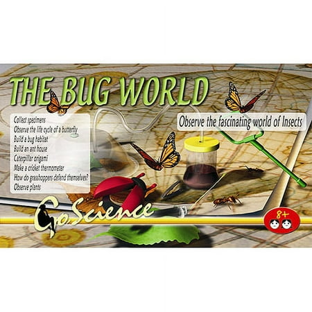 The Bug World
