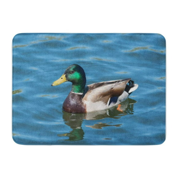 POGLIP Brown Duck Colorful Mallard in Calm Lake Green Air Doormat Floor Rug Bath Mat 23.6x15.7 inch