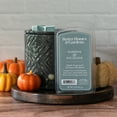 thumbnail image 5 of Better Homes & Gardens 3.5 oz Ampersand Wax Melt Pumpkin & Pistachio, 5 of 5
