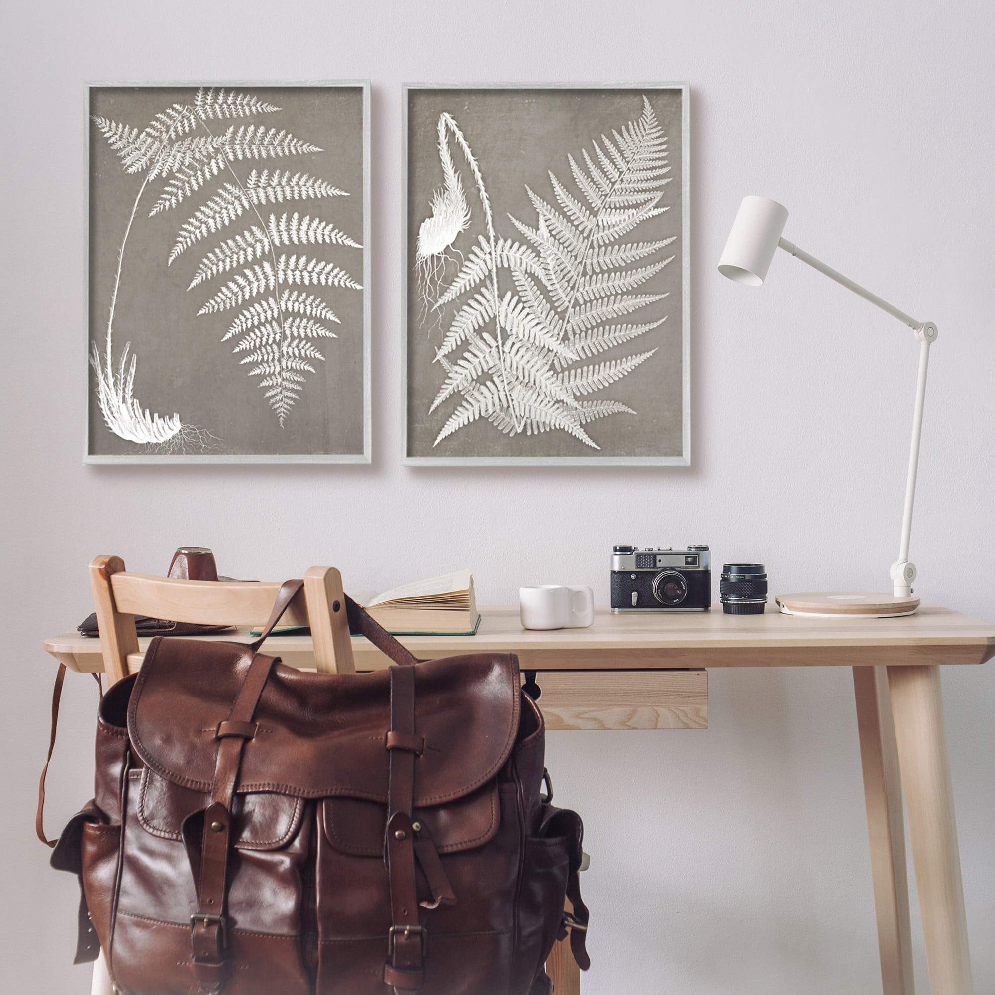 Stupell Industries Detailed Fern Plant White Botanical Herb Roots Graphic Art Gray Framed Art Print Wall Art, Set of 2, Design by Graffitee Studios
