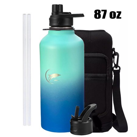 Cocobaby 87 OZ Insulated Water Bottle with Straw - 2/3 Gallon Water Jug Stainless Steel