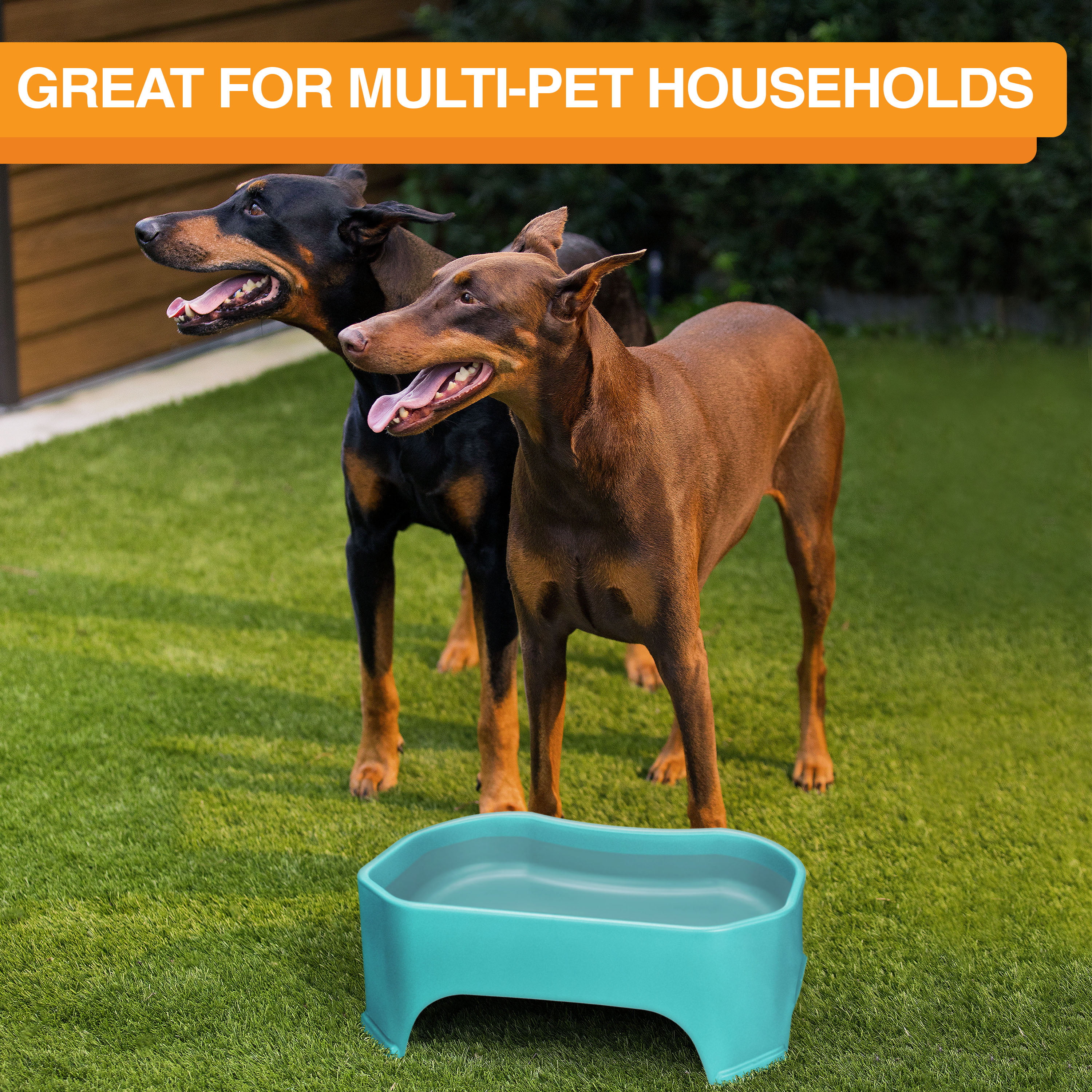 Neater Pets Little Big Bowl for Small Dogs - Plastic Trough Style