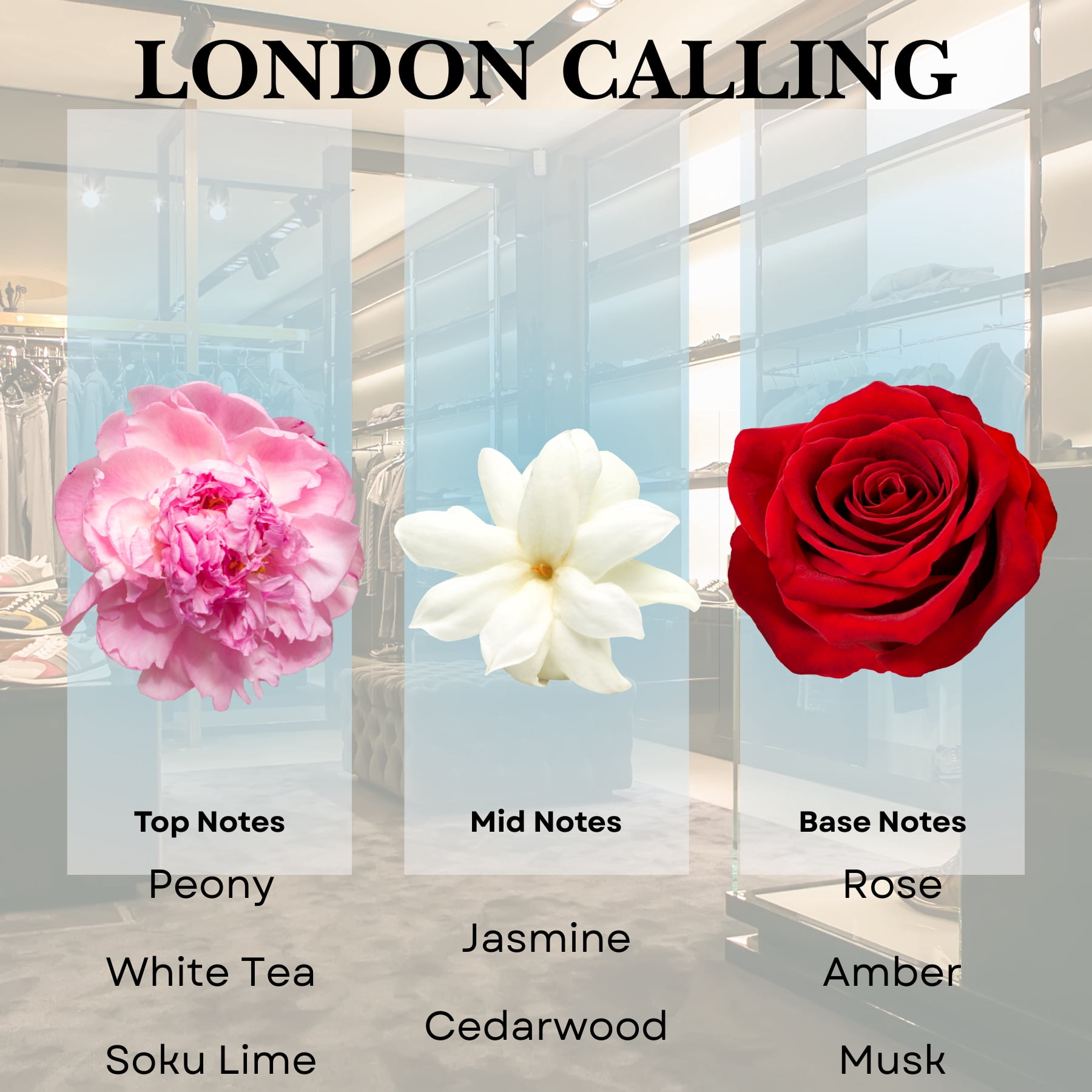 Scentia London Calling Diffuser Oil Inspired by Ferrari - 50 ml 1.69 fl oz - Fragrance Oil Blend White Tea, Cedarwood & Soku Lime for Aromatherapy Diffusers and Humidifiers