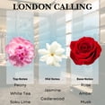 thumbnail image 3 of Scentia London Calling Diffuser Oil Inspired by Ferrari - 50 ml 1.69 fl oz - Fragrance Oil Blend White Tea, Cedarwood & Soku Lime for Aromatherapy Diffusers and Humidifiers, 3 of 8
