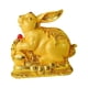 thumbnail image 5 of Bonito modelo de figura de chino, decoración Feng Shui, accesorios de decoración ligeros para el hogar y la Oficina para alféizares, estanter Estilo A perfecl Estatua de conejo, 5 of 8