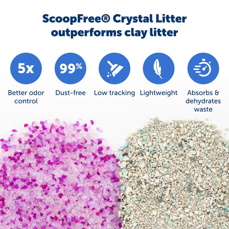 PetSafe ScoopFree Crystal Lavender Litter Tray, Disposable photo 4