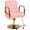 Pink, variant on KIGOTY Reclining Salon Chair with Adjustable Backrest, Heavy Duty Barber Chair with Durable Steel Frame, 360 Degrees Swivel Stylist Chair, Pink