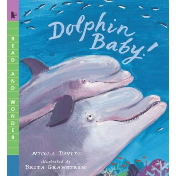 Pre-Owned Dolphin Baby! (Other) 9780763670481