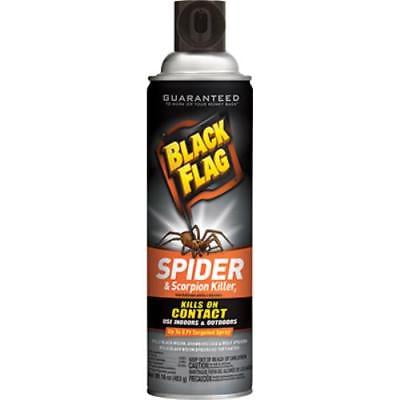 Black Flag 16 OZ Spider & Scorpion Killer Kills On Contact (Best Way To Kill Spiders)