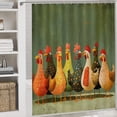 thumbnail image 5 of Shower Curtain Sets with Rugs 4 Piece Shower Curtain And Rugs Shower Curtain Set Love Chickens Animal Durable And Waterproof Chicken Decorative for Bathroom Decor, 5 of 8