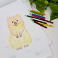 thumbnail image 5 of BAZIC 12 Mini Colored Pencils, Set for Art Drawing Sketching, 24-Pack, 5 of 9