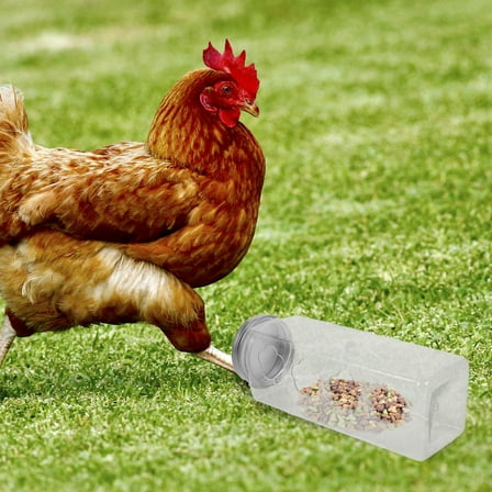 SEWCHICS Chick Feeder Multi Home Use 1Pack 6.9x2.2x2.2in