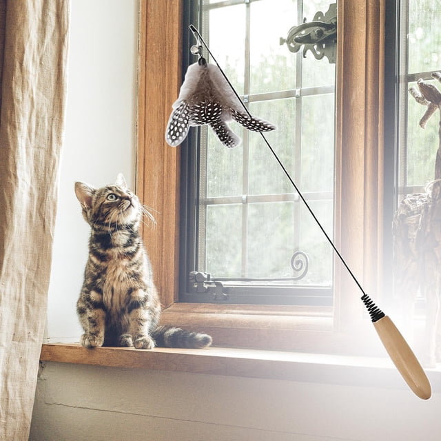 Juguete de rompecabezas para gatos Fernando Ejercitador caña de pescar