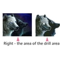 thumbnail image 4 of VONKY Cat Tiger Moneky Diamond Needlework DIY 5D Animal Rhinestone Painting Crystal Embroidery Home Office Cross Stitch, 4 of 9