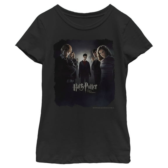 Girl's Harry Potter Order Of The Phoenix Group Shot Poster  Graphic Tee Black Medium
