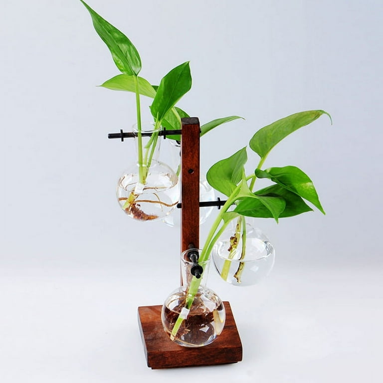 Glass Propagation Station Bulb Hydroponic Planter with Wooden