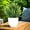 A, variant on 1 Pack Artificial Plants,Plastic Fake Plants Green Indoor Faux Green Grass Potted Plants Decorative Plant for House Office Outdoor Balcony Desk Bathroom Decoration