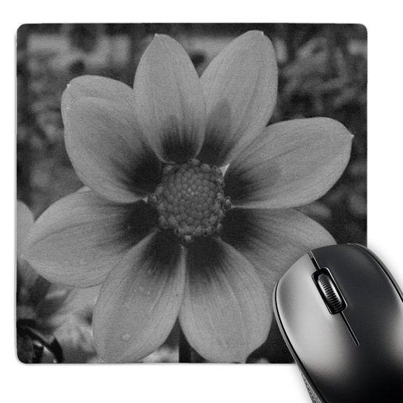 3dRose, Black and White Cosmos Flower, MousePad