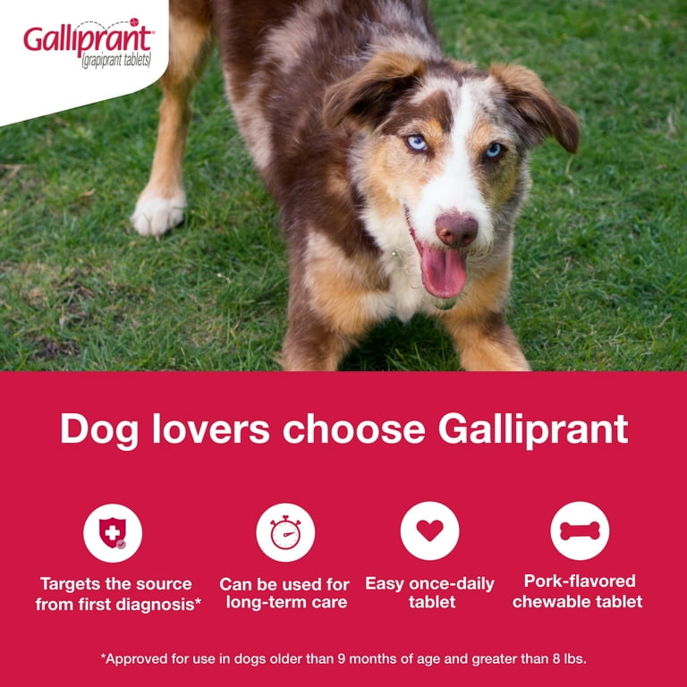 Galliprant 100mg dosage sales