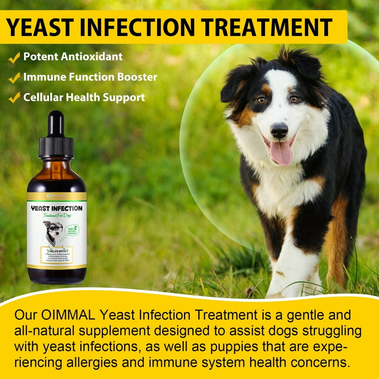 Dog hotsell infection treatment