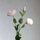 thumbnail image 1 of Nvzi 3 piezas de flores artificiales de tacto real, flores falsas para decoración del hogar, oficina, boda, arreglo de ramo de flores artificiales para decoración (rosa, 22,8 pulgadas de largo), 1 of 5