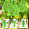 thumbnail image 3 of Bolsa protectora de uva 100 piezas LIUXGMXG malla transparente, 3 of 5