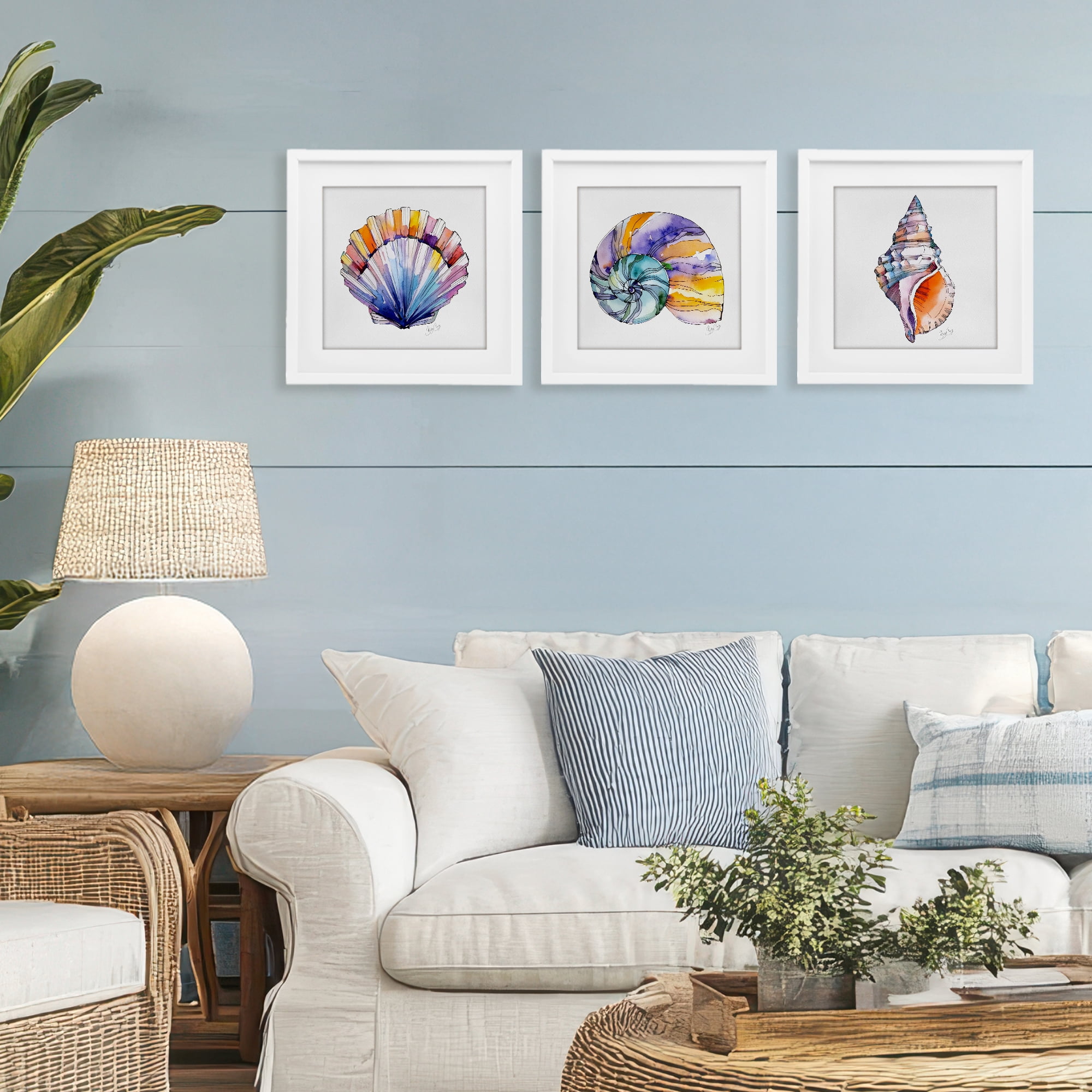 Stupell Industries Sunlit Seashells Watercolors 3 Piece White Framed Print Under Glass Set, design by Shelly Craig