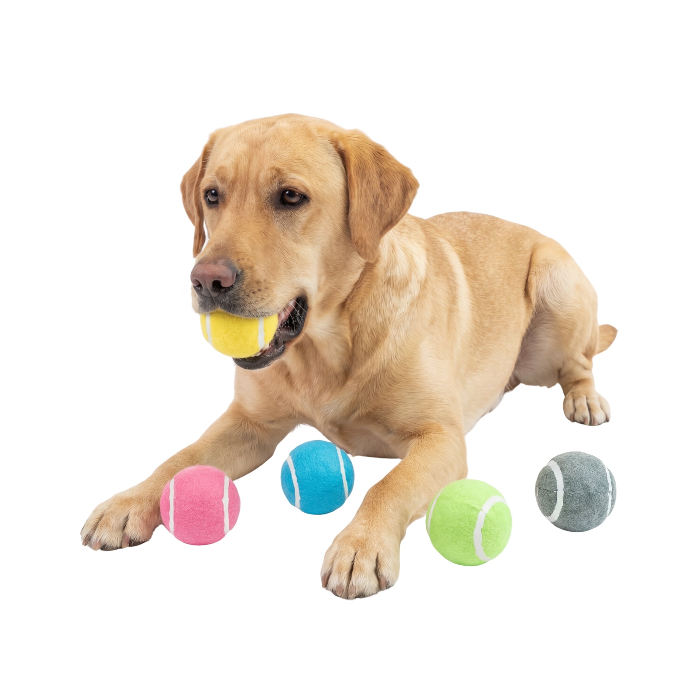 One Paw, balle de tennis classique pour chiens, jaune, plusieurs couleurs disponibles