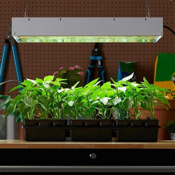 Hydrofarm Agrobrite FLT48 T5 Fluorescent 4 Foot 8 Tube Grow
