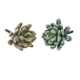 thumbnail image 5 of Set of 3 Artificial Plants for Decor Home Succulent Planters Green, 5 of 8