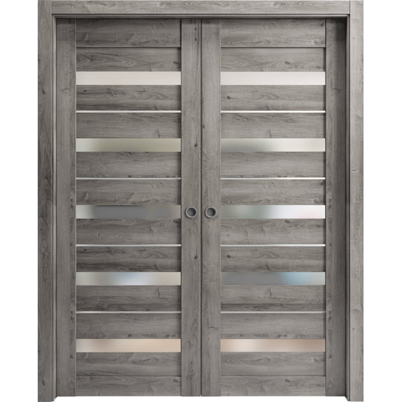 Sliding Closet Bypass Doors 48 x 80 inches | Lucia 2166 Matte Black Clear Glass | Sturdy Rails Moldings Trims Hardware Set | Wood Solid Bedroom Wardrobe Doors