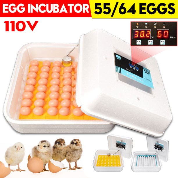 55 Eggs Automatic Incubator, Household Incubator, Chicken Incubator
