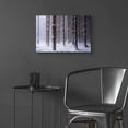 thumbnail image 6 of Epic Art 'Red Woods' by Martin Podt, Acrylic Glass Wall Art, 24"x16", 6 of 8