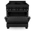 thumbnail image 4 of ZLINE RAINDBS30 30 inch 4.0 Cu. Ft. Black Induction Range, 4 of 5