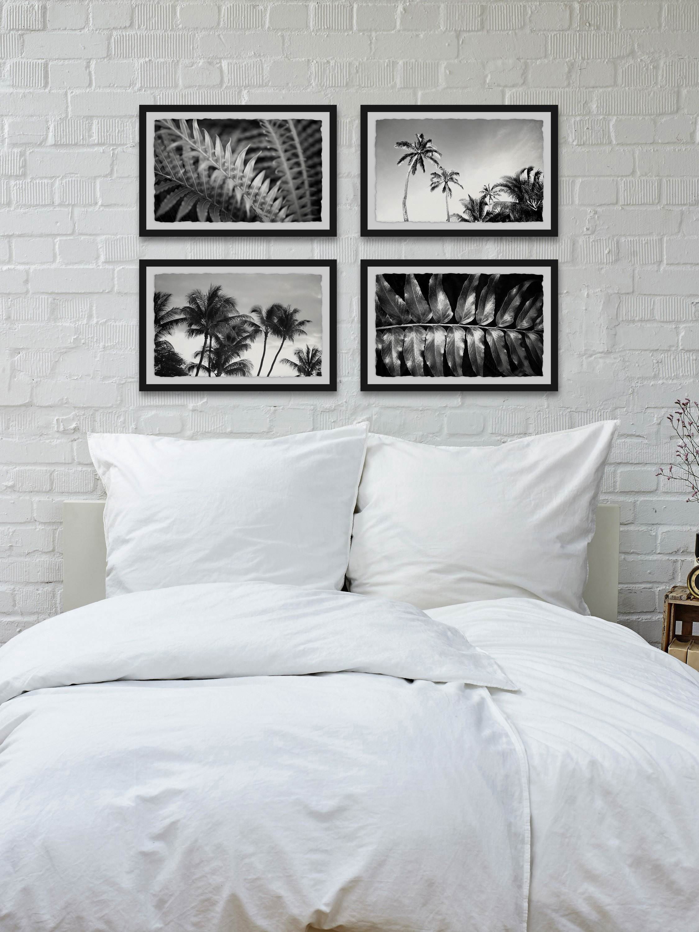 Palm Trees Quadriptych