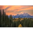 thumbnail image 2 of Jones, Adam 14x11 White Modern Wood Framed Museum Art Print Titled - Golden aspen trees and Teton Range in early morning-Grand Teton National Park-Wyoming, 2 of 4