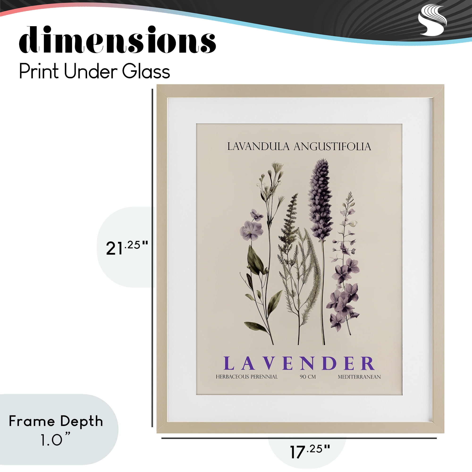 Stupell Industries Natural Lavender Bundle Birch Framed Print Under Glass, design by Christopher Giampietro