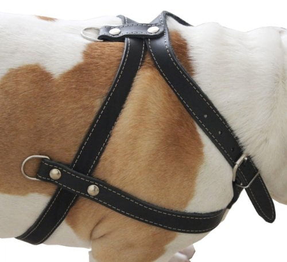 High Quality Leather Dog Pulling Walking Harness . 33"-37" Chest, 1" Wide Straps. Pitt Bull, Boxer