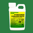 thumbnail image 3 of Pyrethrin Concentrate - Organic Insect Control Made from Chrysanthemums - 8 fl oz Bottle by Southern Ag, 3 of 5