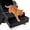2 Step Black, variant on 2 Step Black Pet Stairs Litter Box Ramp for Cats