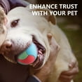 thumbnail image 2 of lixuesong Pet Dog Toy Bites Resistant Elasticity Toy Tooth Dog Chew Toy Pet for Teeth , Training and Play, 2 of 3