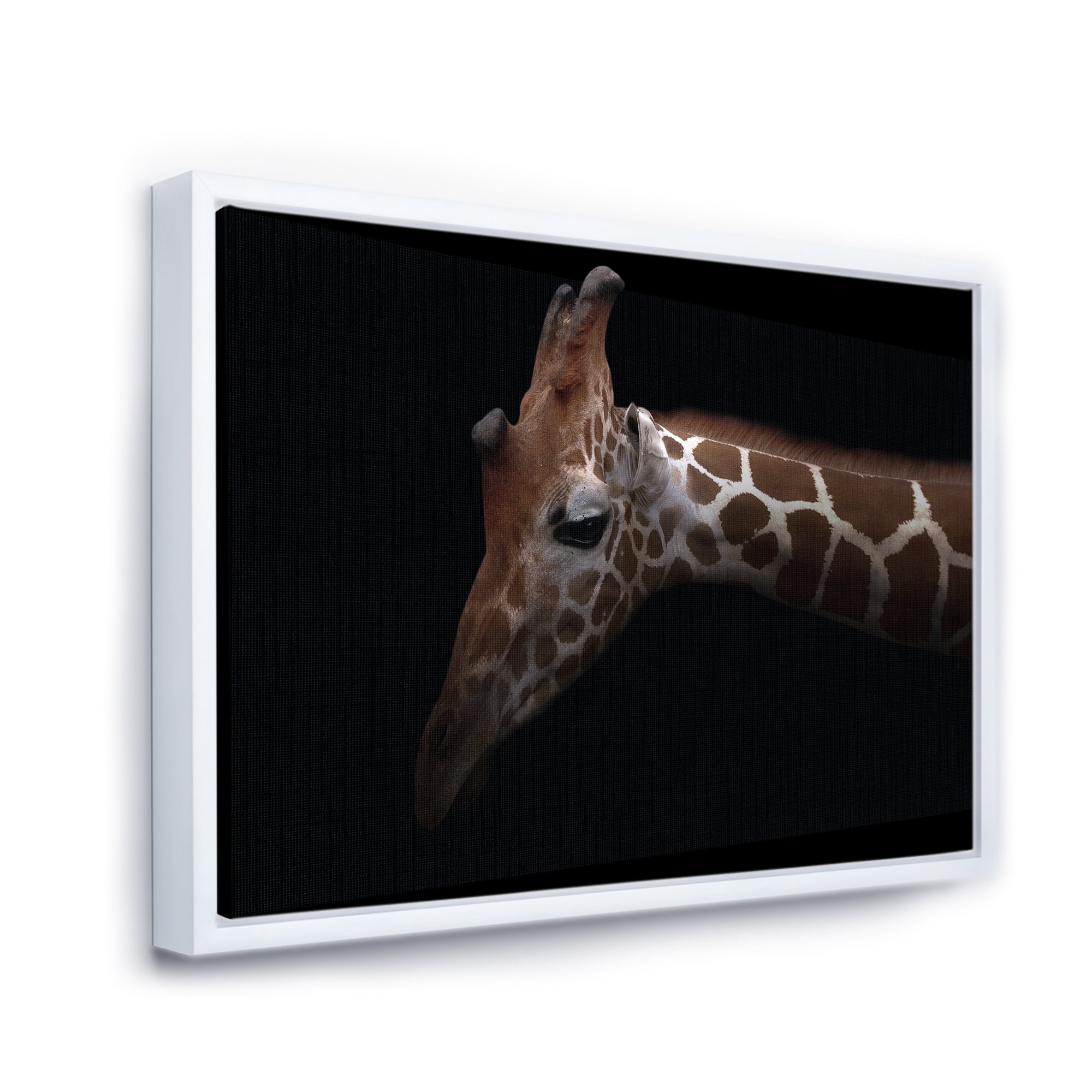 Close Up Portrait of A Giraffe VIII 20 in x 12 in Framed Photography Canvas Art Print, by Designart
