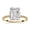 Yellow Gold, variant on Hidden Halo Engagement Ring for Women, 2.85 Carat (ctw) Emerald and Round Cut Lab Grown Diamond Solitaire Ring In 14K White Gold Over Sterling Silver F-G-H, SI Quality Ring Size-10