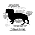 thumbnail image 3 of CafePress - Dachshund Chart Light T Shirt - Men's Classic Graphic T-Shirt, 3 of 4