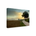 thumbnail image 2 of Alan Blaustein 'Tuscan Farm Road 1' Canvas Art, 2 of 3