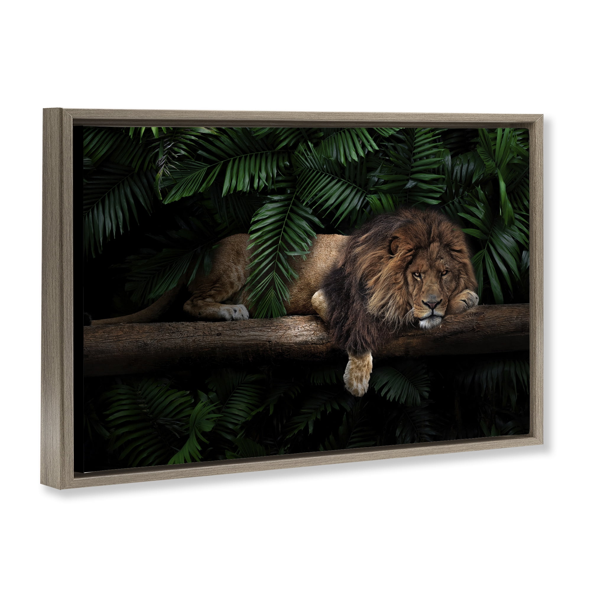 Stupell Industries Lion on Tropical Branch Animals Painting Brown Floater Framed Canvas Art Print Wall Art, 31 x 21