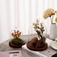 thumbnail image 2 of Vitrina con forma de cúpula de cristal REFSAVER para plantas y objetos de colección, 2 of 7