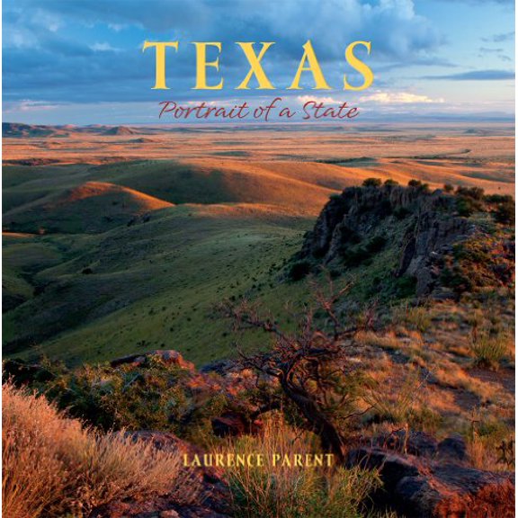 Pre-Owned Texas: Portrait of a State (Hardcover) 0882409158 9780882409153