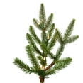 thumbnail image 2 of Vickerman 9' x 68" Douglas Fir Artificial Christmas Tree, Clear Dura-lit Lights, 2 of 3